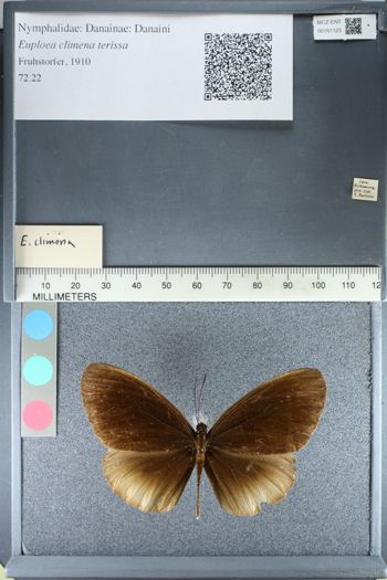 Media type: image;   Entomology 161123